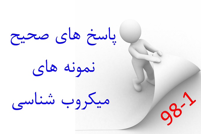 شرکت پیشگام ایرانیان