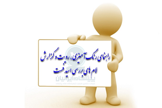 شرکت پیشگام ایرانیان